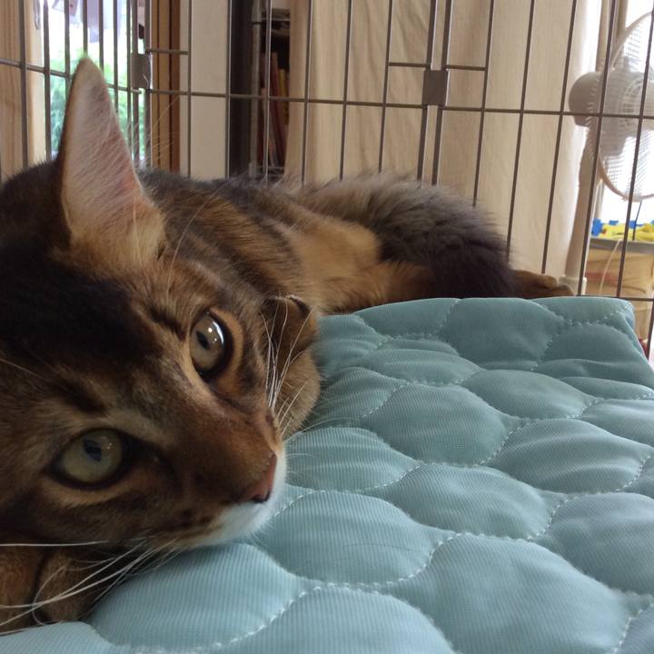 97d741fa cee5 4d0c bc8b f20a20f49d93 1564189148711