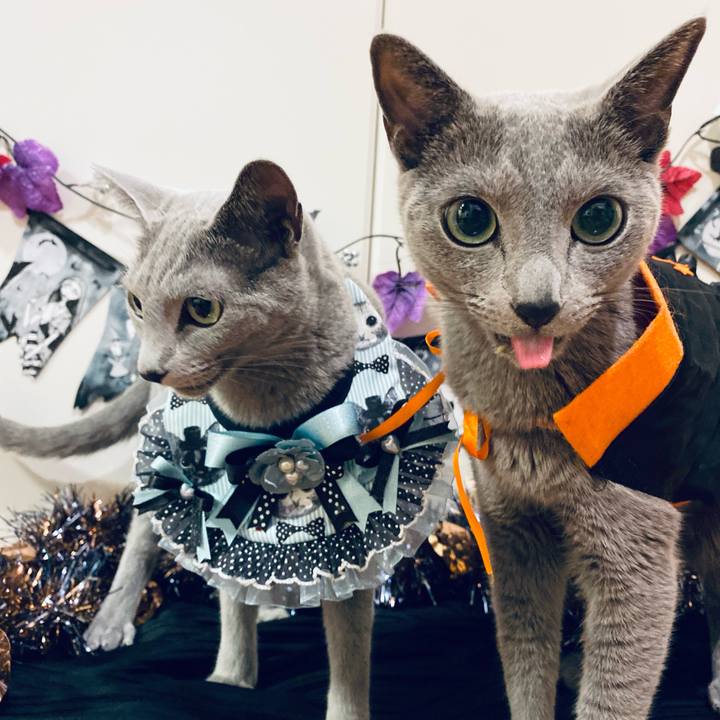 97d748cb 0975 456d b9e1 b1684d25bc58 1667223521333