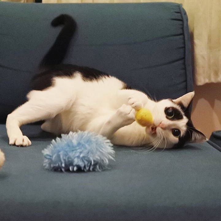 97d786ce 168a 455f 8b09 f833cb473cec 1612699430963