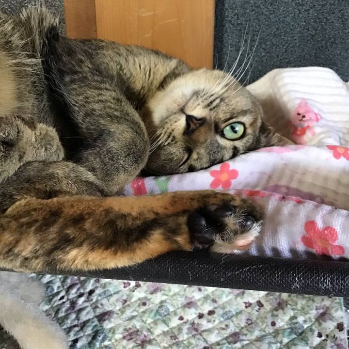 97d78ad7 9aac 4c1d 938e cb2350a3e416 1590149945764