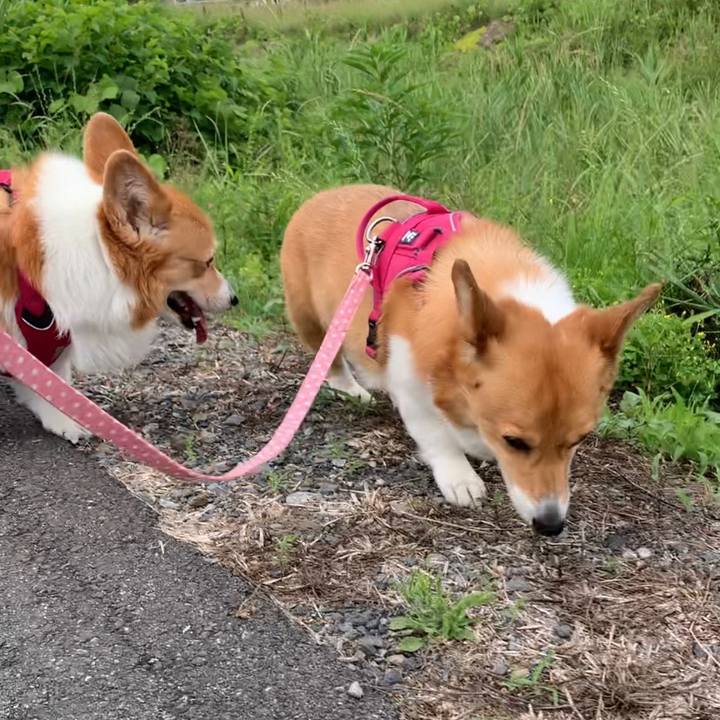 97d79324 d44a 484e 93af ab62a6a42fbe 1686013119297