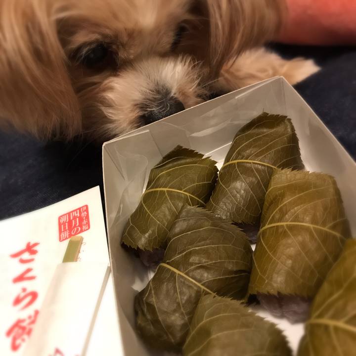 97d7bc49 170f 47b4 9b6f a9ff0a0fa343 1522596615867