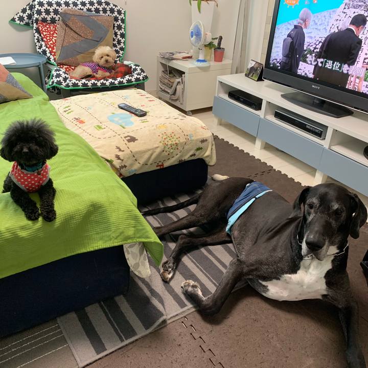 97d7bc5c ce47 4b75 b494 1ffa0c27396b 1555972790554