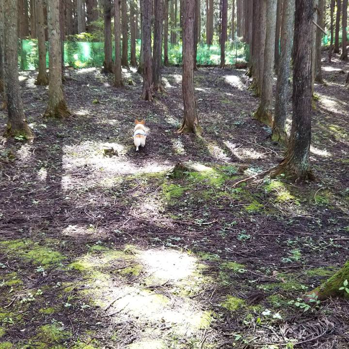 97d80376 69f2 4d37 b17c f988367879f4 1537783949720