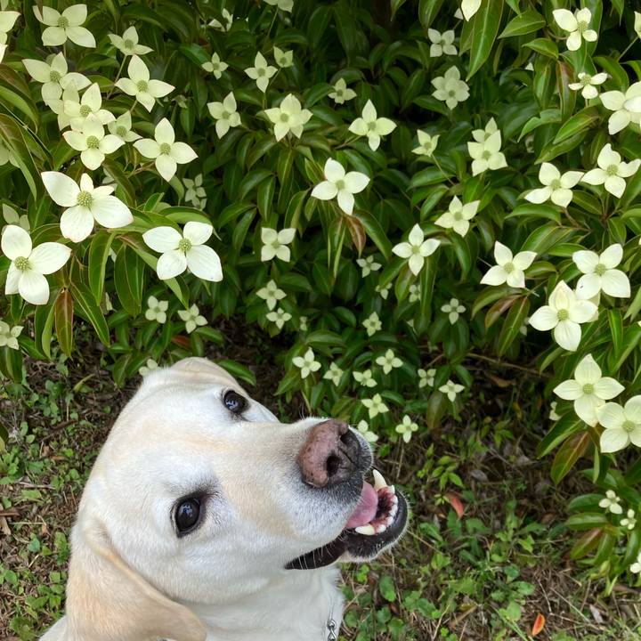 97d84de7 412f 4f8e 9766 33144a21edc3 1685497033975