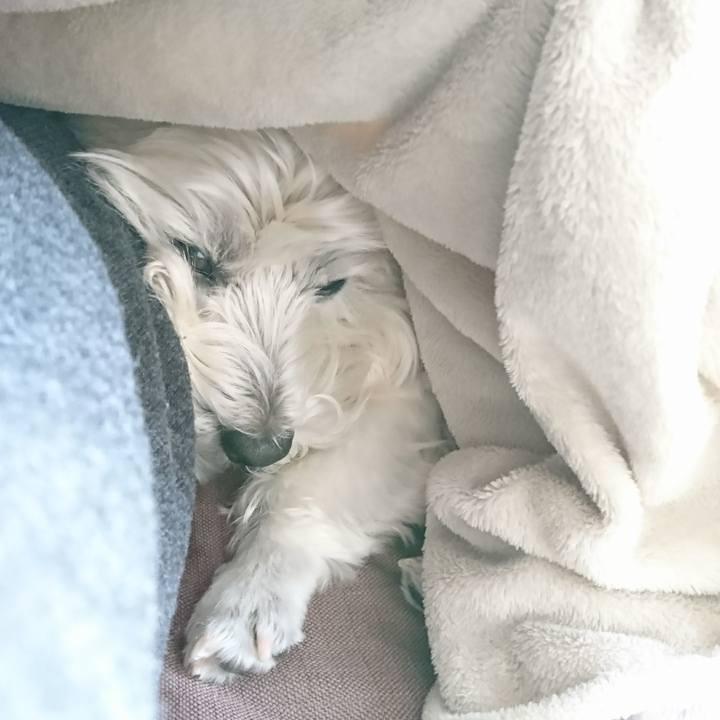 97d8a394 050b 4983 a12c e4ffbe08414b 1519280962894