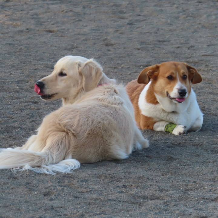 97d8b5fe 9f47 4381 b6a3 87a9294416e9 1635126396607