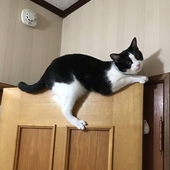 97d8dfec aa6b 4c36 af0a f46af6bcbd7f 1663945492740