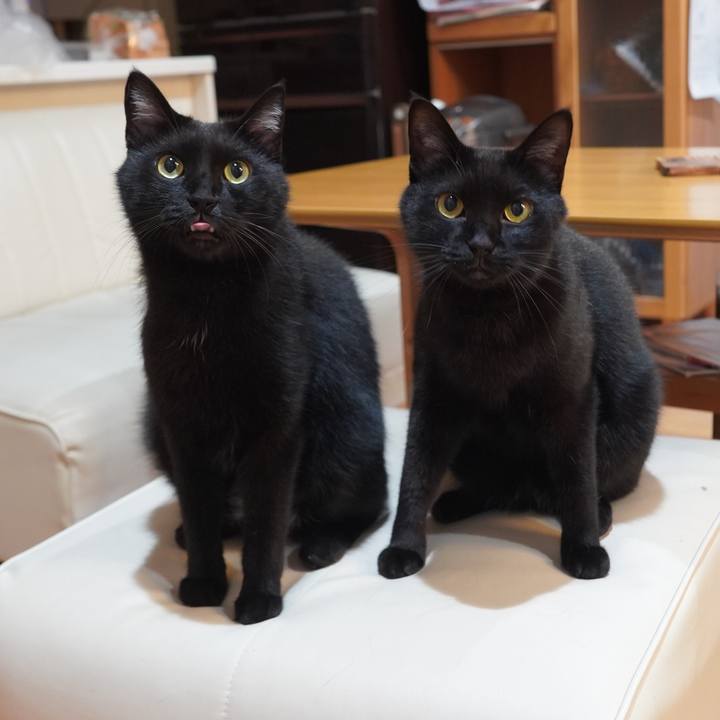 97d8e5fe 6e86 4629 b423 963258a6a370 1601821702385