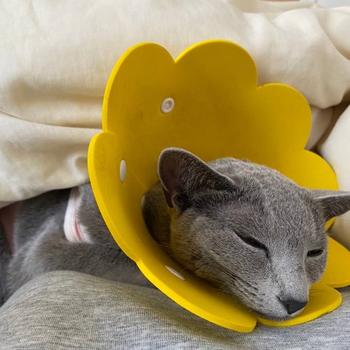 97d8fa37 a8c6 4a85 959b 2280372326e1 1631315376412