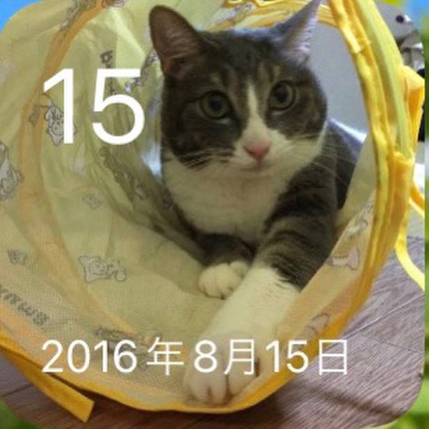 97d90cd0 df73 4b3d b038 ce68e53947a9 1660567175740