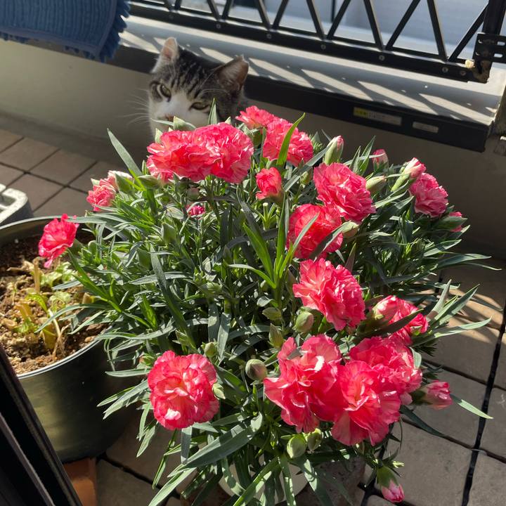 97d97759 1900 4ec4 bf50 9b42f110e4bd 1684572199163