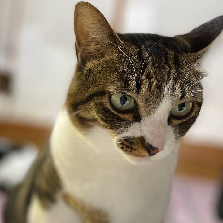 97d980b4 5323 4672 872b a2de3a5e47d9 1674758839785