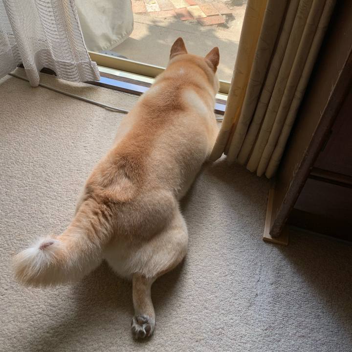 97d9cfa9 120f 4db0 927e c31d673c9b32 1624834810876