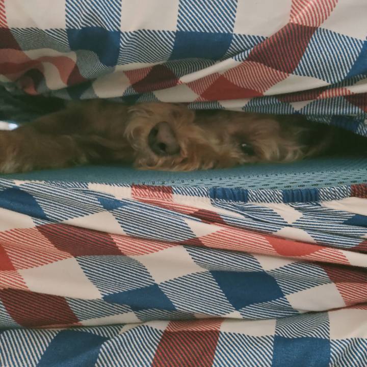 97d9e3c9 7c2e 4c35 b035 0a6a6acb8f79 1613430681577