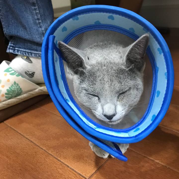 97d9efb1 913c 4749 87b3 ab45de638da2 1512995284662