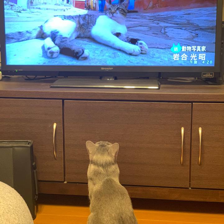 97da14b6 45e2 461c 8420 ebc5d8a11860 1576654204272