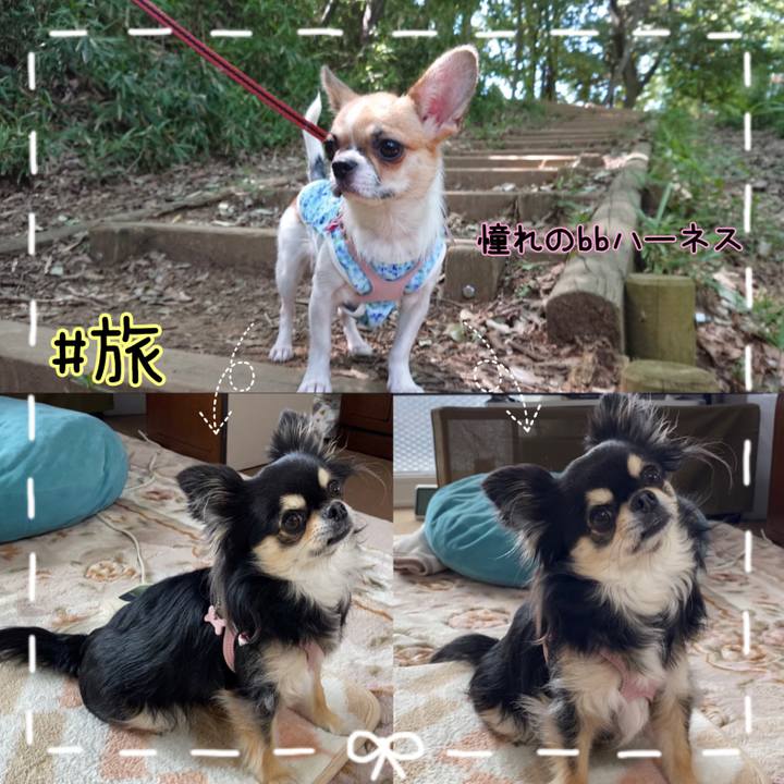 97da1608 ad3a 4cfa afa7 447ec444ba6a 1645431322037