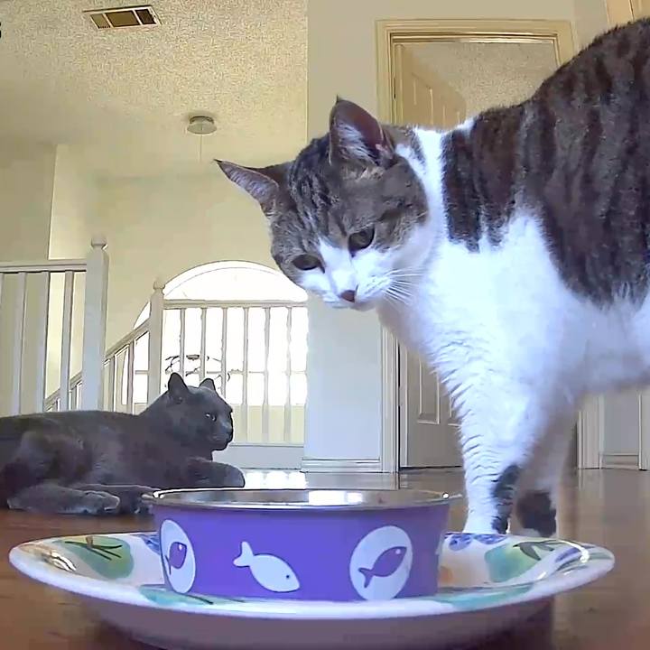 97da2fdf 09ab 4c07 9bcb 66afec4be638 1769477727671