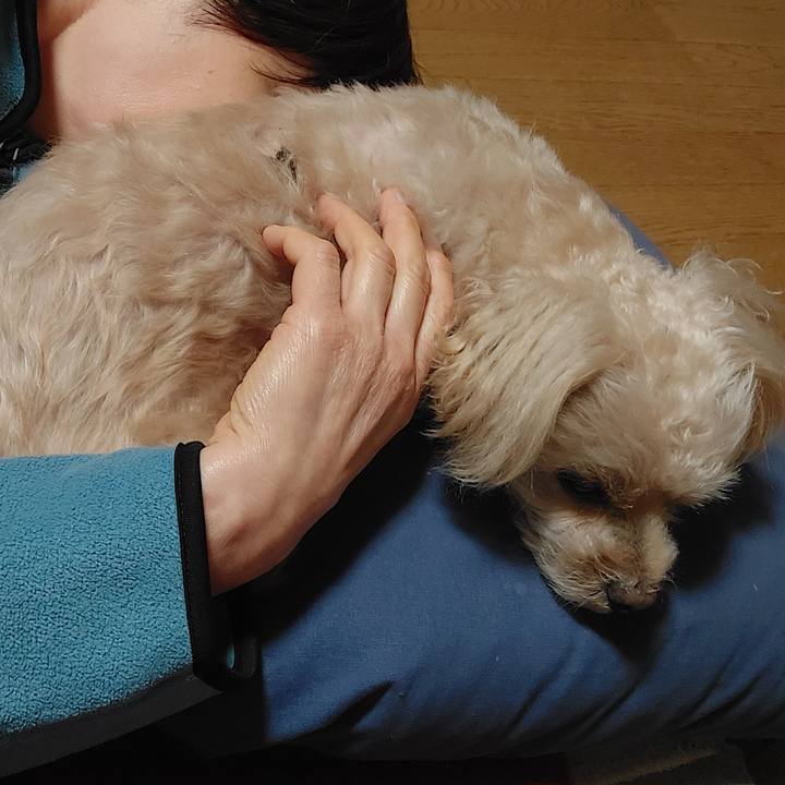 97da315e 38c1 4075 be3e 6e2bd9a6d254 1734064278486