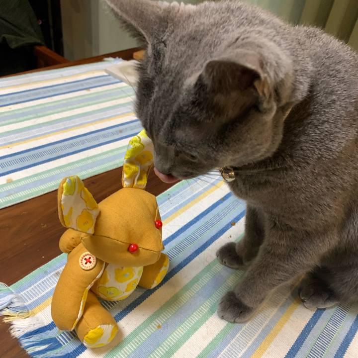 97da33dd 6cd4 4888 af8f 0a0d3b23b5eb 1647171203813