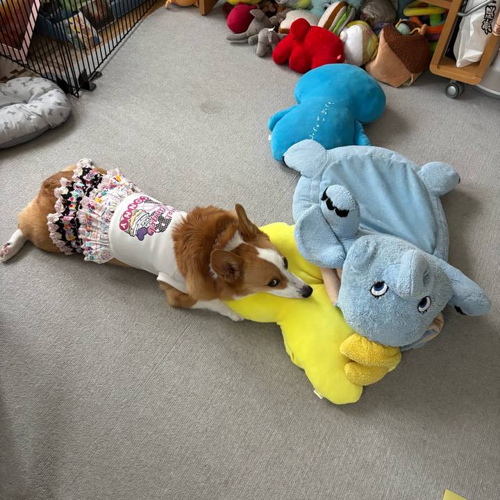 97da3424 d195 4c0b 84f4 4e53fa789a0d 1759972783711