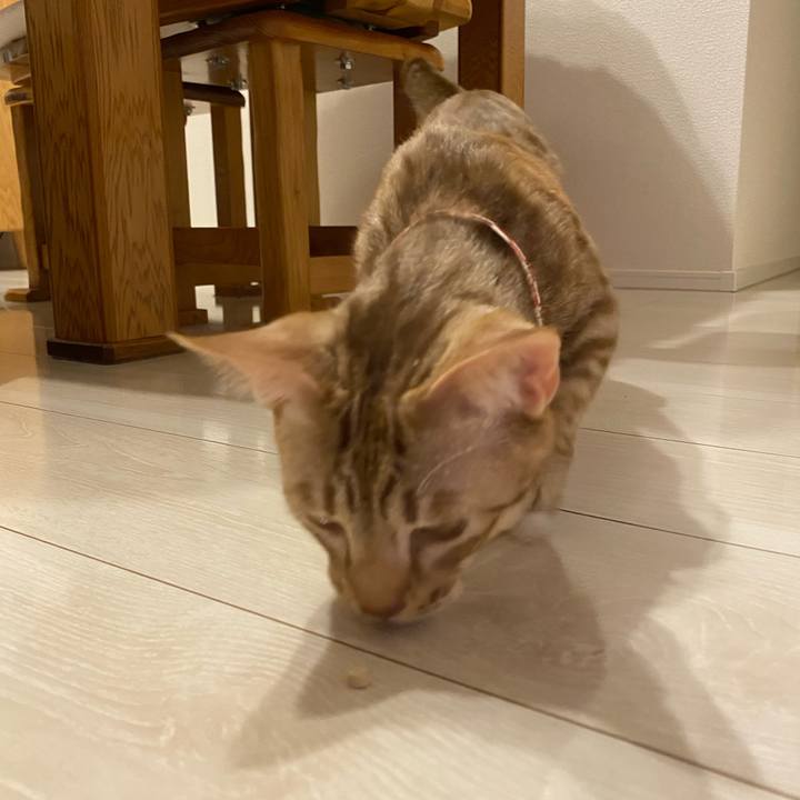 97da47ad 0d69 484e ba6b 5d43547e55fc 1605448812790