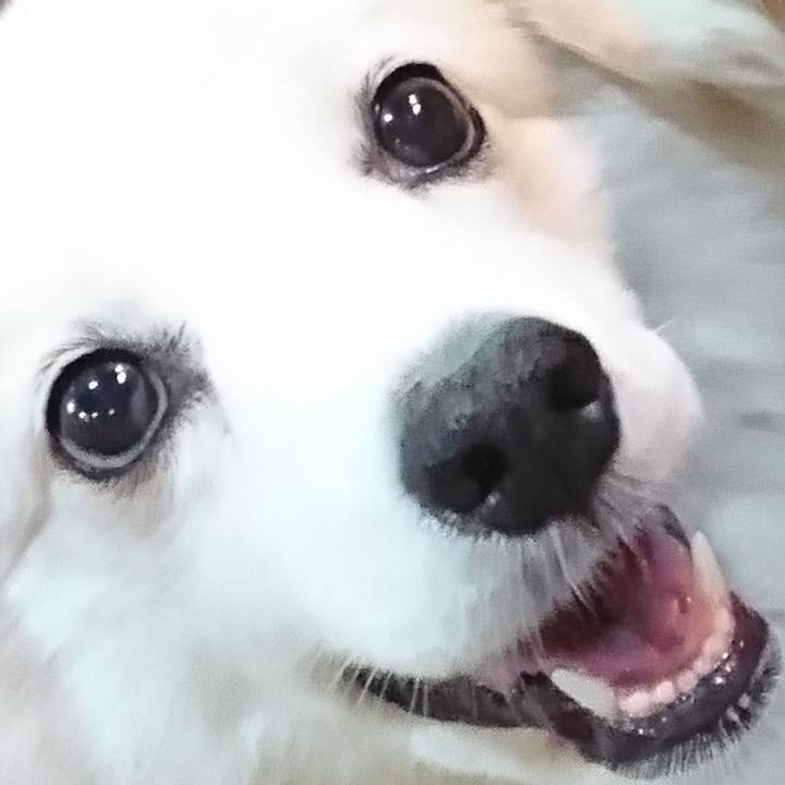 97da88c0 588d 4b05 a5f3 f855d22de73f 1537953309319