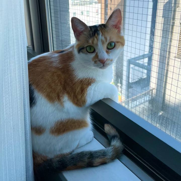 97daaa66 c480 4f55 b7e9 2714735d4370 1659915417750