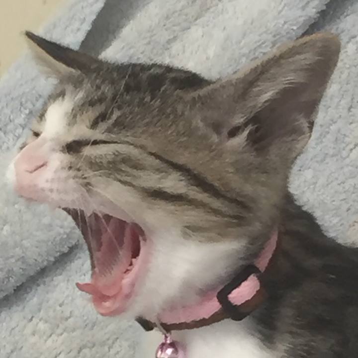 97daaf5b 6a0b 4a64 b244 8d69badbfa33 1654568389073