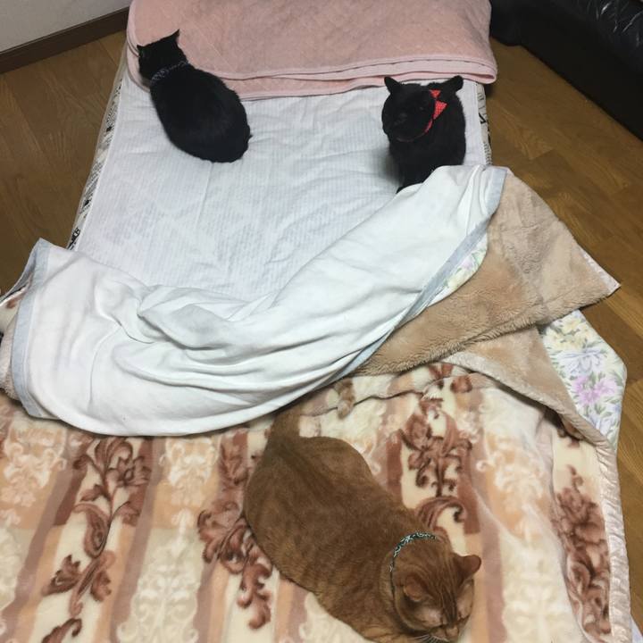 97dac47e 8ea4 4695 b8ba 207603f3590e 1550065498729