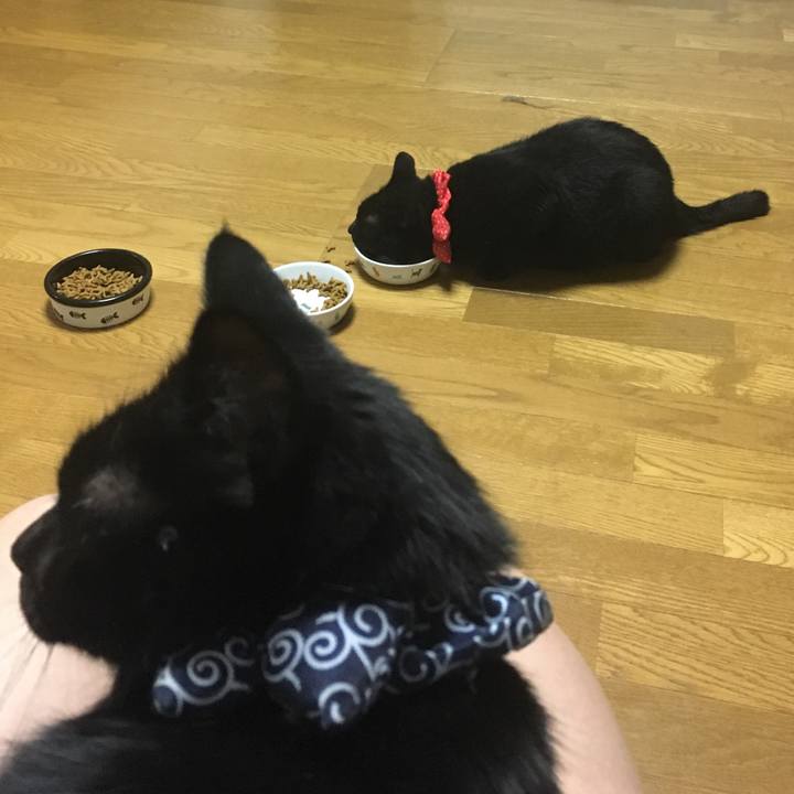 97dad1c9 d949 47b6 a77d e416075785e2 1536836358094