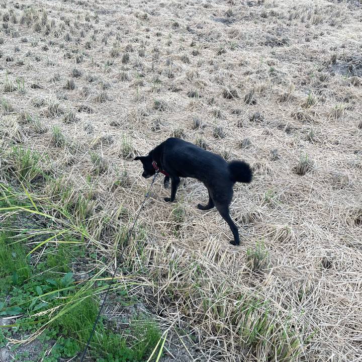 97dae701 b906 4227 9b95 488ead53ad63 1663401010042