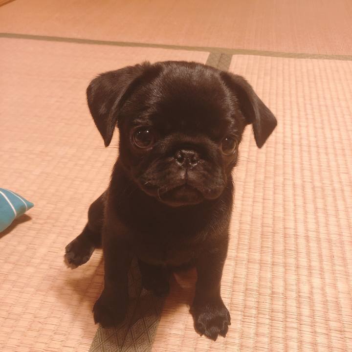 97db0615 c75c 4b03 81f7 0d954e412aca 1588244025459