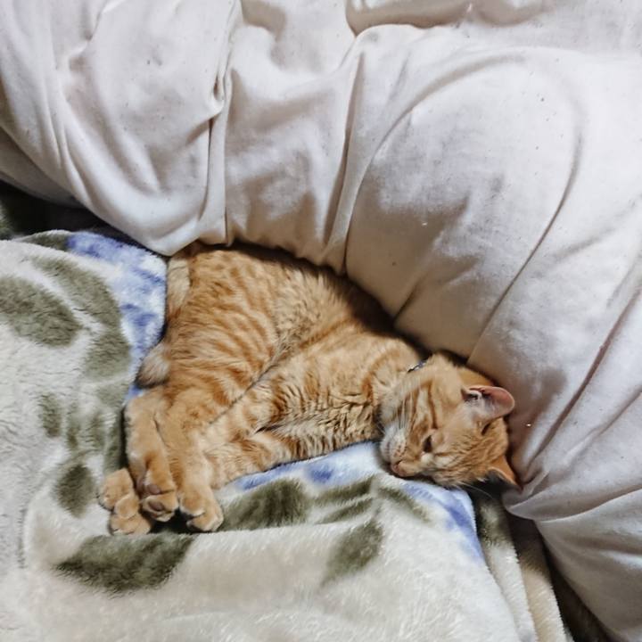 97db2a29 44fe 405e b355 19fda785c08a 1650197951031