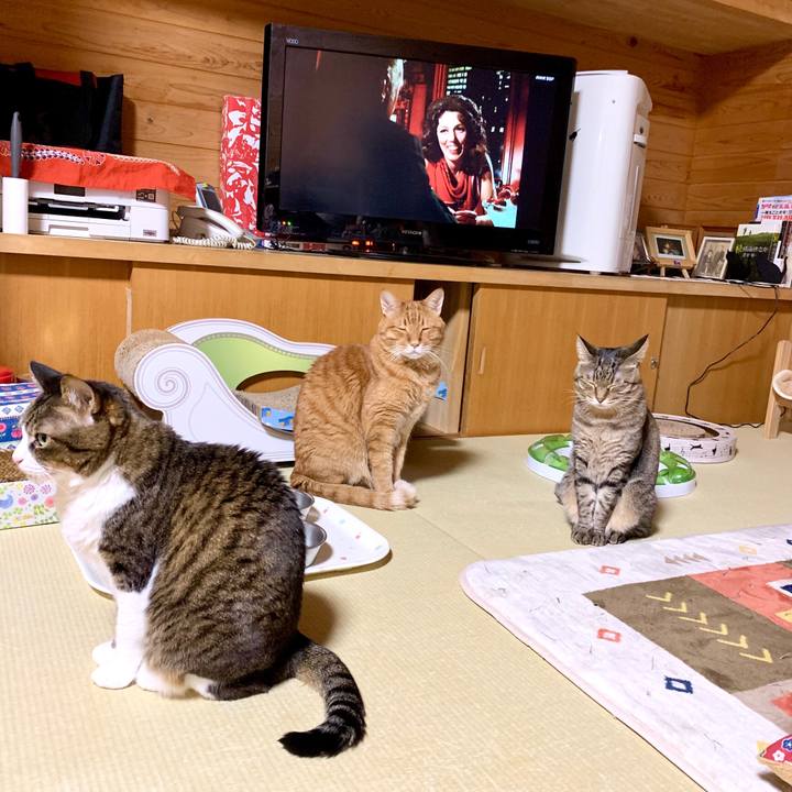 97db2b8f d370 4b94 a639 ae62294d61dc 1586954836920