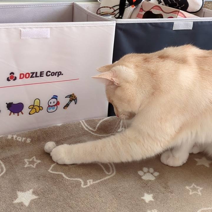 97db33bd 005e 4957 96f7 88b764c118a3 1736229462490