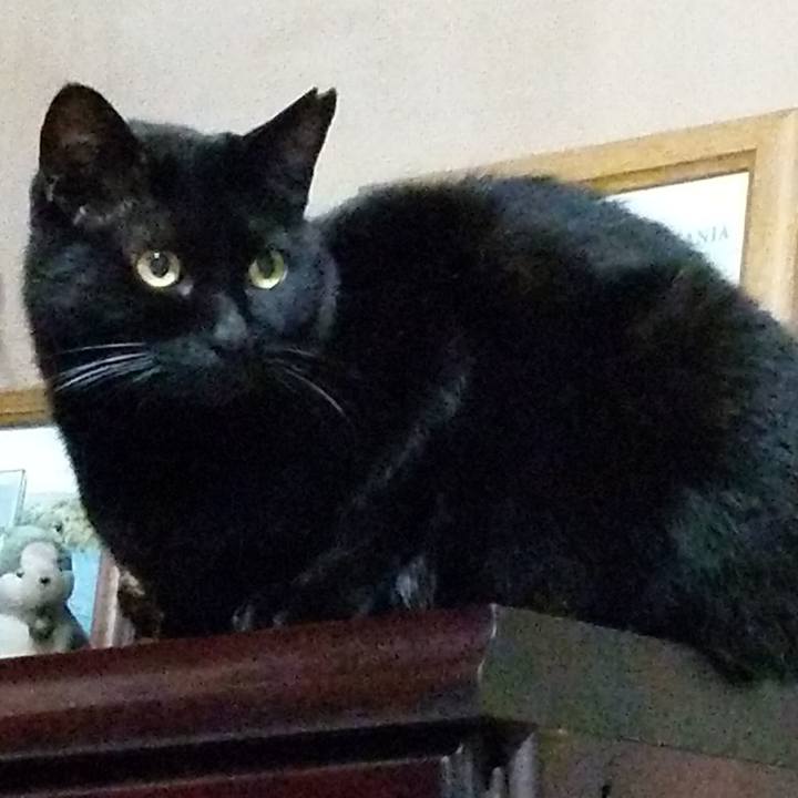 97db5513 b3fb 411c ac7f 6f767cf7fa1d 1610542050838