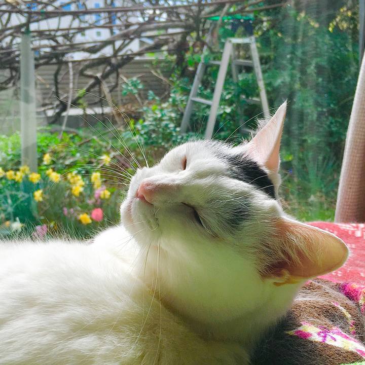 97db592e fd1d 4fa7 a4e4 c5b6740806e2 1617857271826