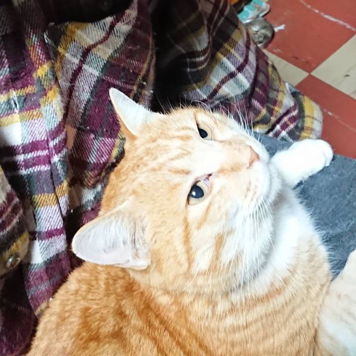 97db5cab 787c 4567 b027 46543a5412c4 1581195689745