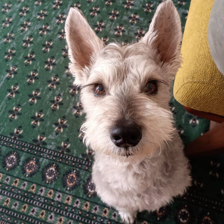 97db874d 9059 43f5 9066 123ae4b430f2 1772884014563