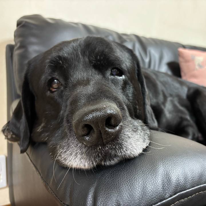 97db8ab0 6ae0 4985 ab75 a8a03640a2a1 1760791850159