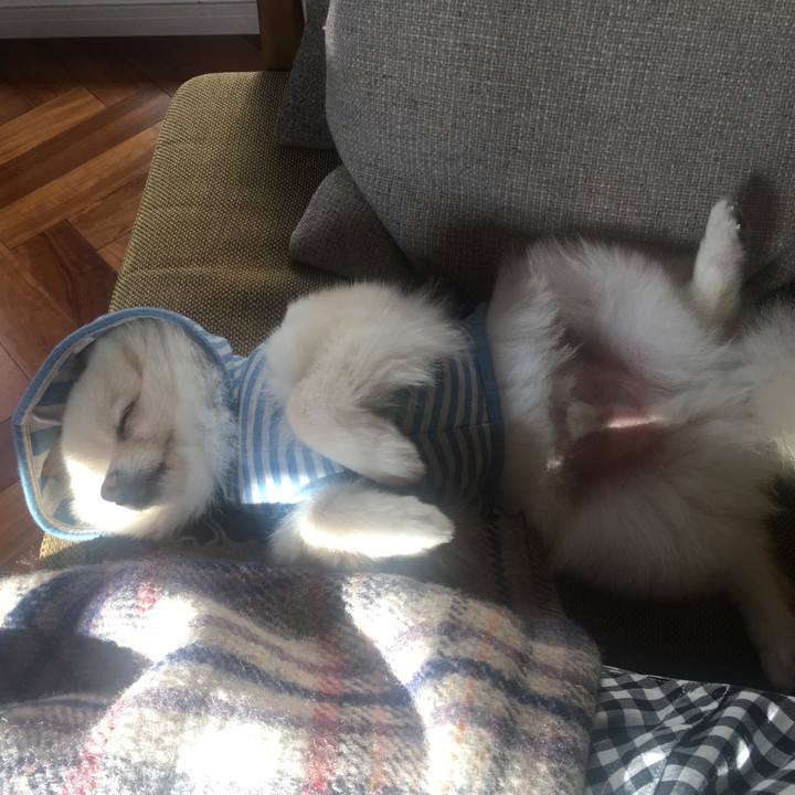 97dbc226 e7d8 425e 8c2d 2fcbc7618a74 1576411583840