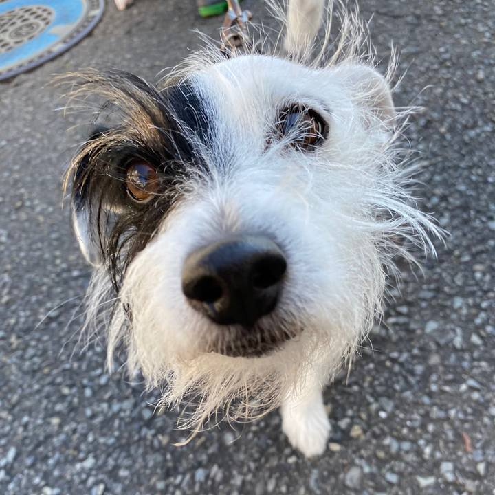 97dbd185 5350 4afe a1ac dea4b9b116fc 1635731127644