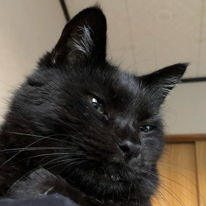 97dbede9 d81e 46d7 9f13 89beb5581775 1602488380681