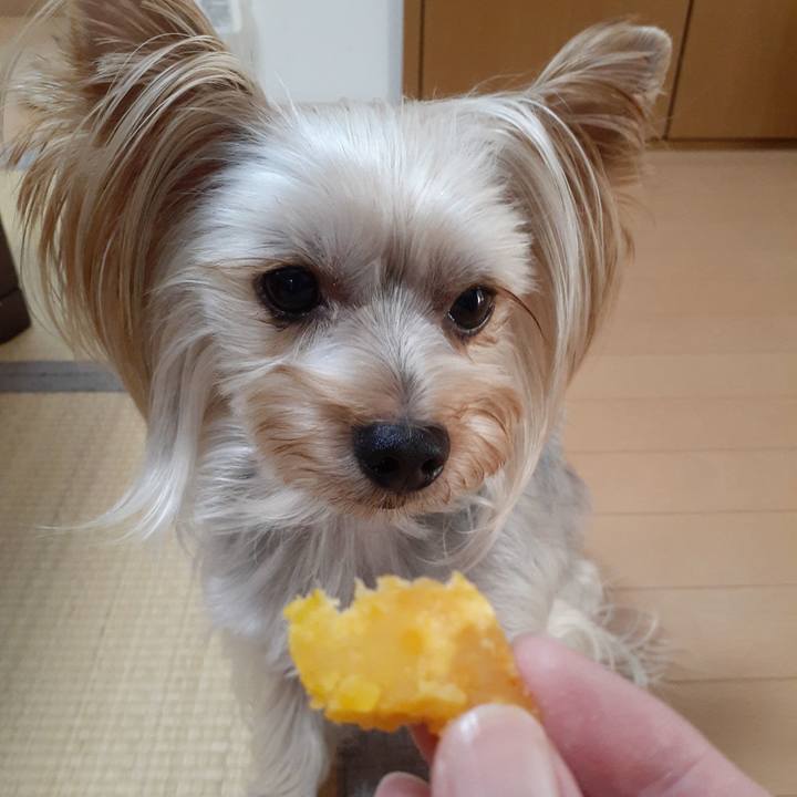 97dc3604 7107 4041 a49b 9afcdfbc4cb3 1571121391589