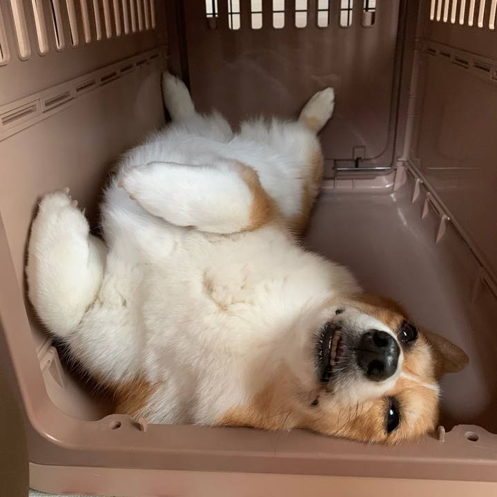 97dc4386 7d15 4d85 9cfc 89435af01b24 1655366351148