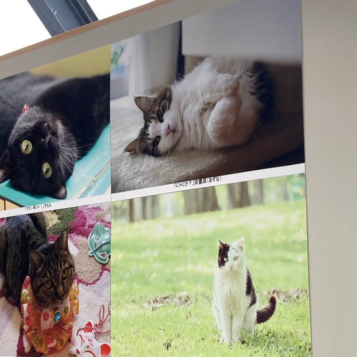 97dc5030 697b 40ab a7a3 7a5776f6f4a5 1600674065100