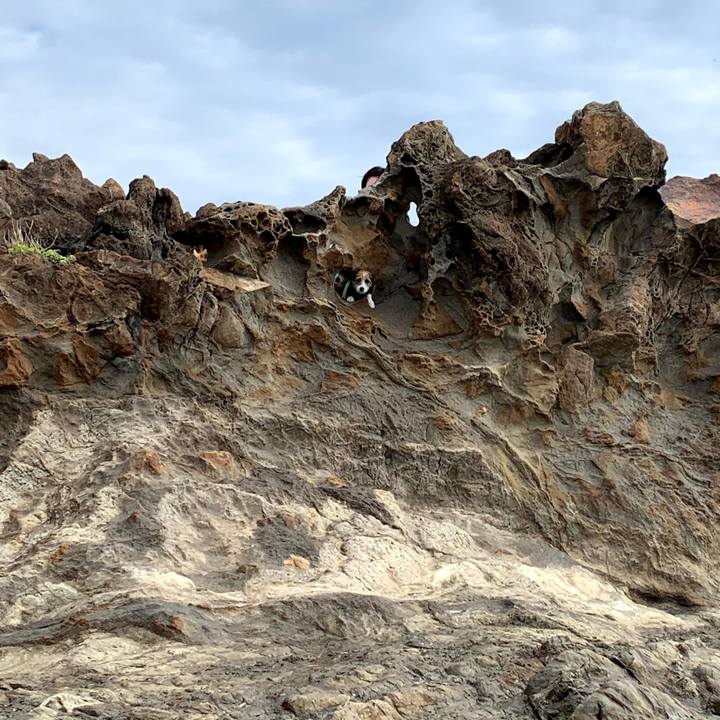 97dc6d36 077f 4f26 beb3 e71c10d7a4fc 1765972563040