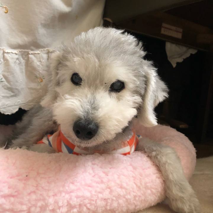 97dc939a ef43 447b 8674 75ee421020b6 1660697141808